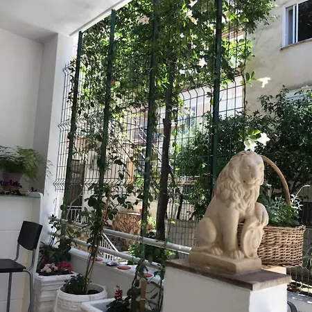 Studio Sarande